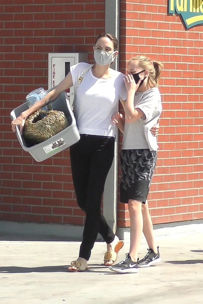 Angelina Jolie & Her Kids: Photos of Them on Fun Outings Angelina Jolie & Her Kids: Photos of Them on Fun Outings